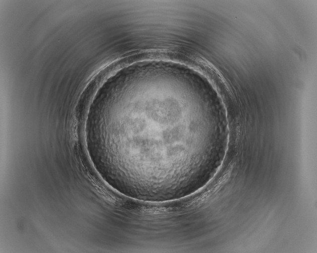 X0000112901019200908211511