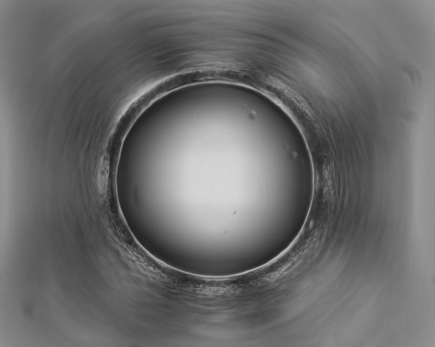 X0000112901021200908211511