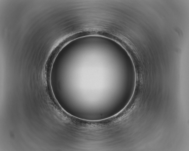X0000112901022200908211511