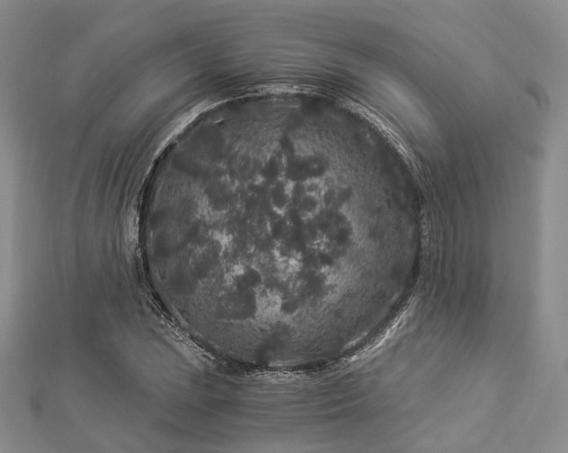 X0000112901023200908211511