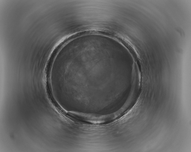X0000112901024200908211511