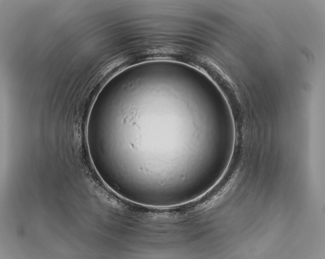 X0000112901025200908211511