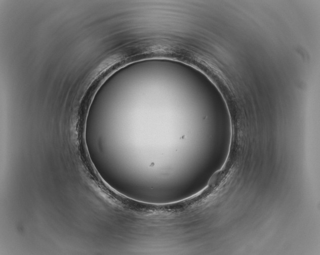 X0000112901026200908211511