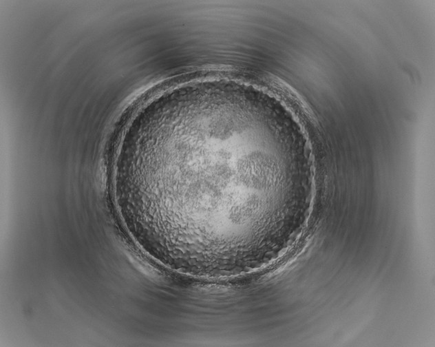 X0000112901027200908211511