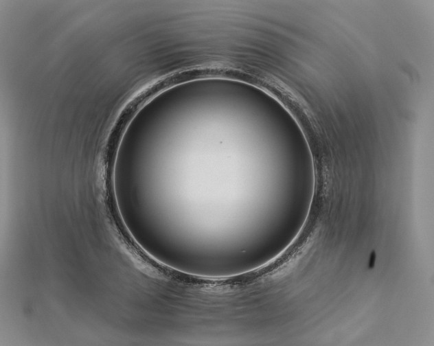 X0000112901029200908211511