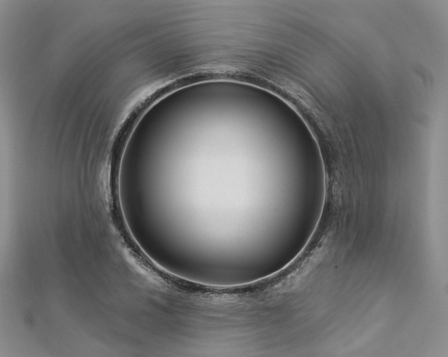 X0000112901030200908211511