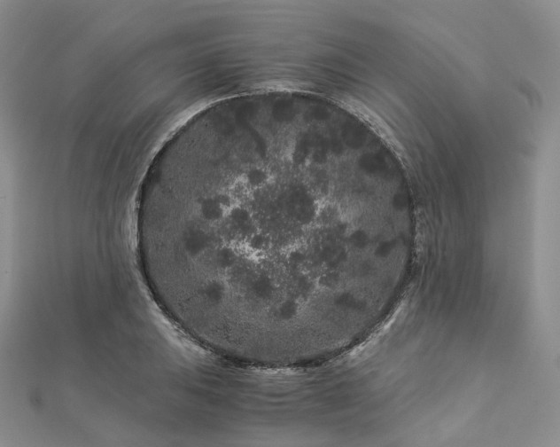 X0000112901031200908211511