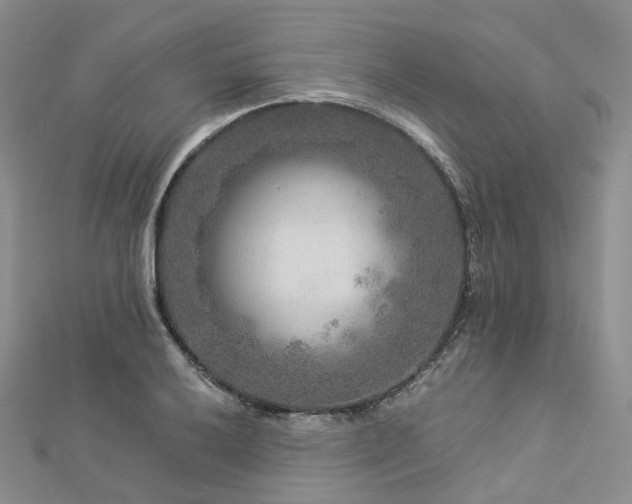 X0000112901032200908211511