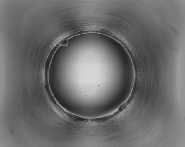 X0000112901034200908211511