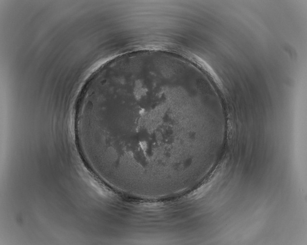 X0000112901035200908211511