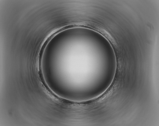 X0000112901036200908211511