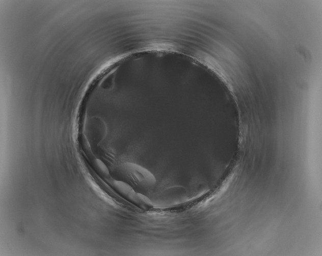 X0000112901037200908211511
