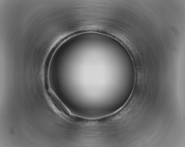 X0000112901038200908211511