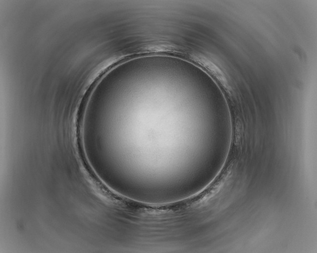 X0000112901039200908211512
