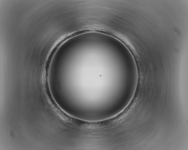 X0000112901040200908211512