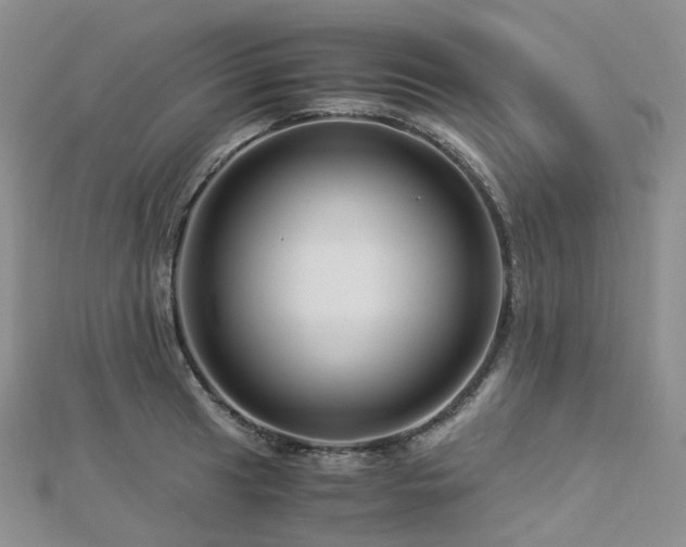 X0000112901041200908211512
