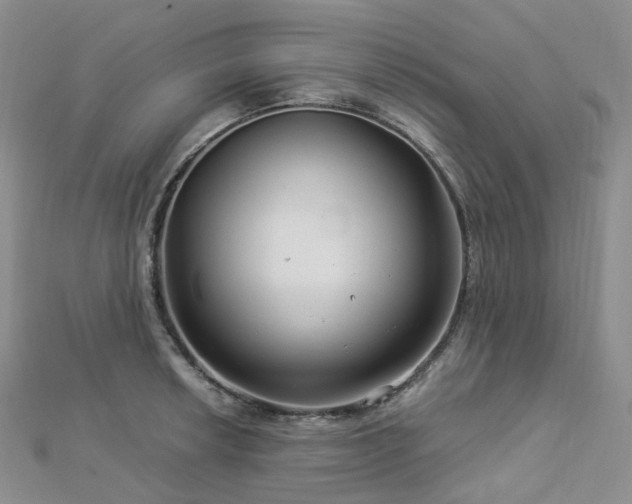 X0000112901042200908211512
