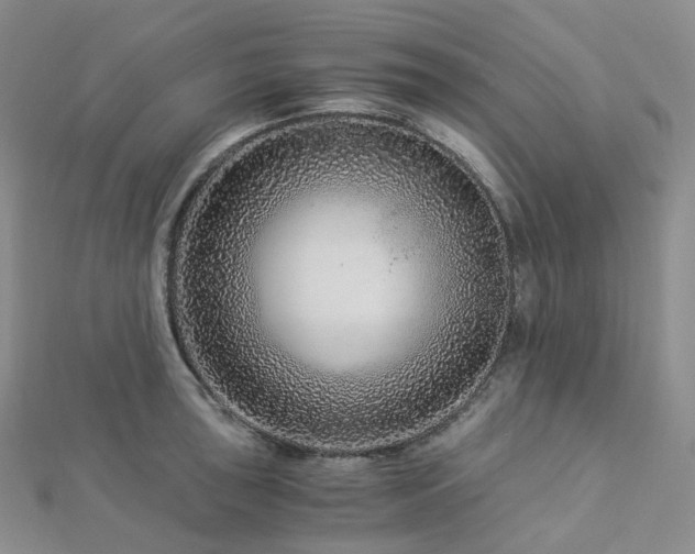 X0000112901043200908211512