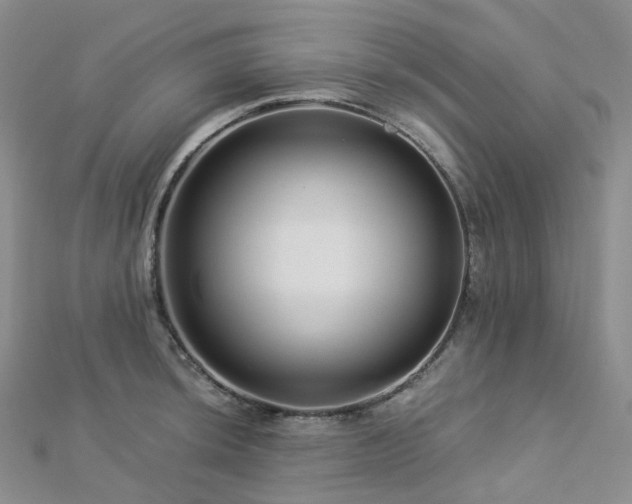 X0000112901044200908211512