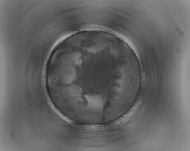 X0000112901045200908211512