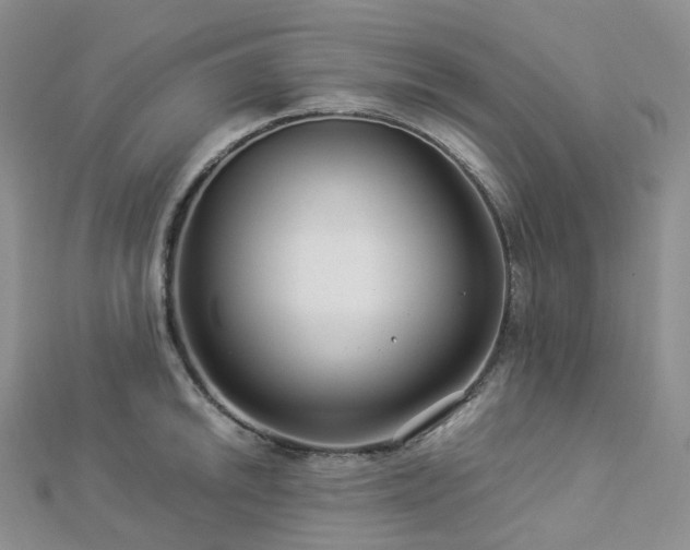 X0000112901046200908211512