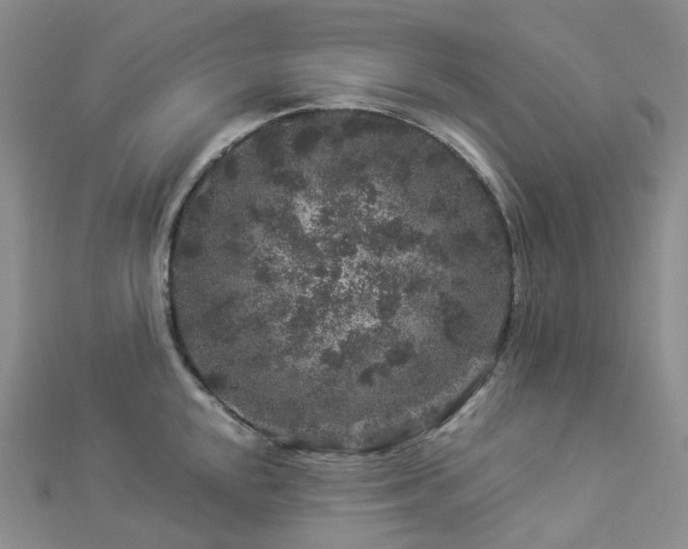 X0000112901048200908211512