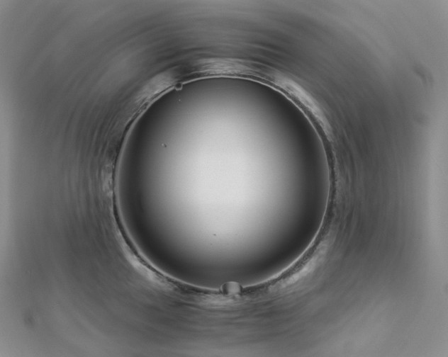 X0000112901049200908211512