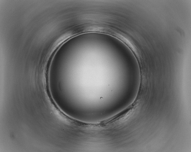 X0000112901050200908211512
