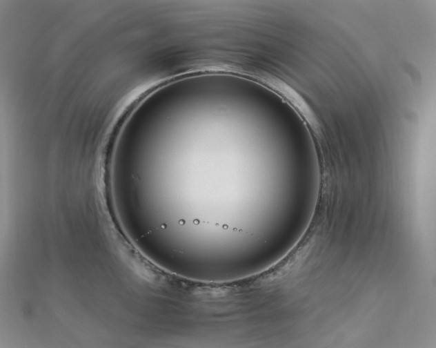 X0000112901051200908211512