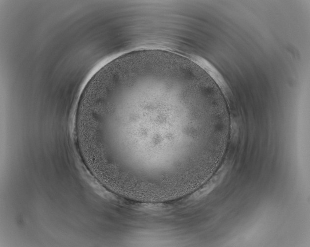 X0000112901052200908211512