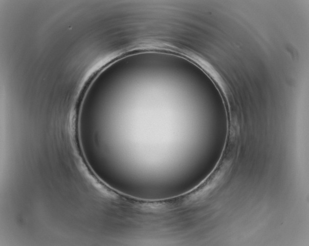 X0000112901053200908211512