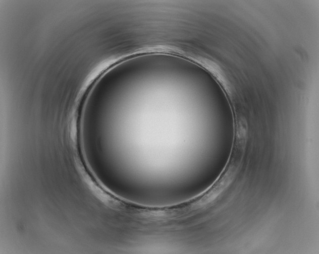 X0000112901054200908211512