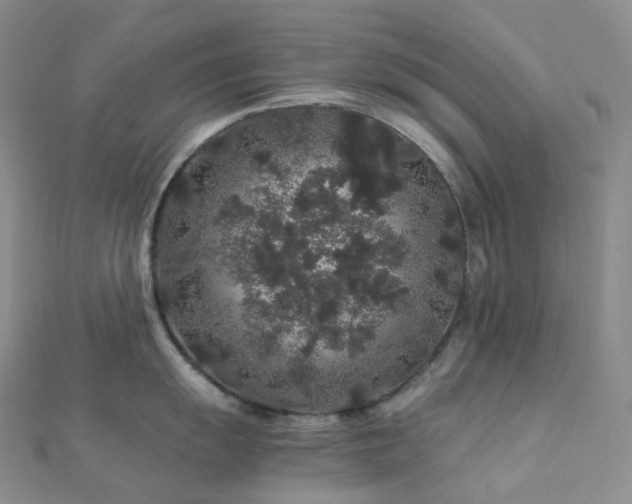X0000112901055200908211512