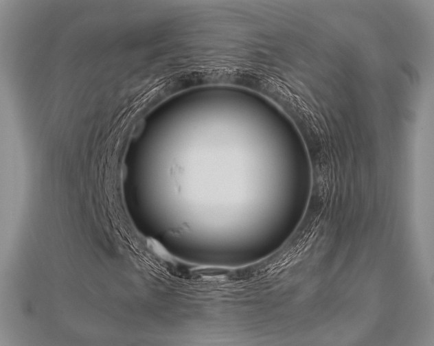 X0000112901057200908211511