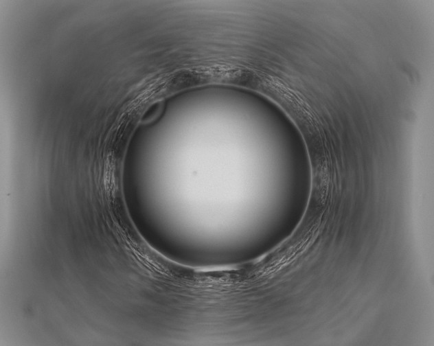 X0000112901058200908211511