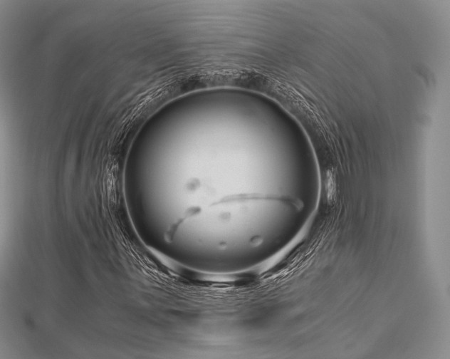 X0000112901059200908211511