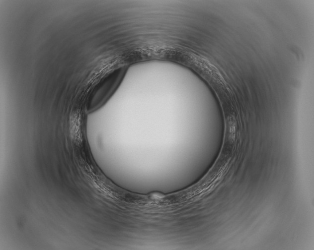 X0000112901060200908211511