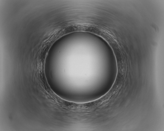 X0000112901061200908211511