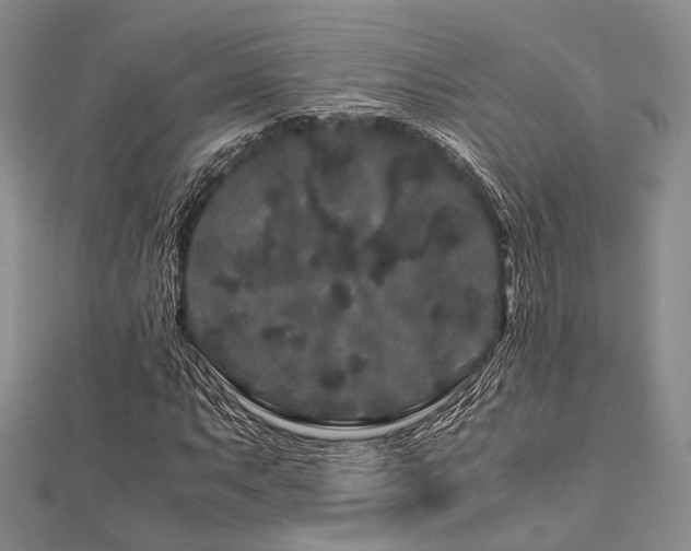 X0000112901063200908211511