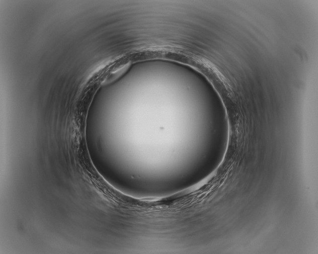 X0000112901064200908211511