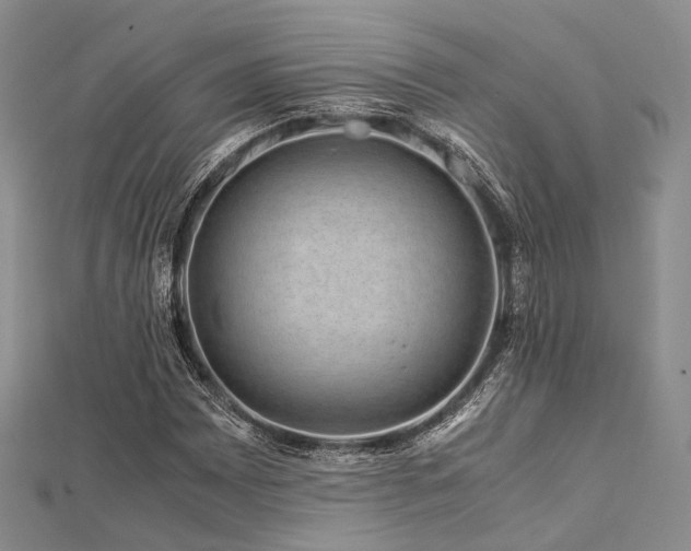 X0000112901065200908211511