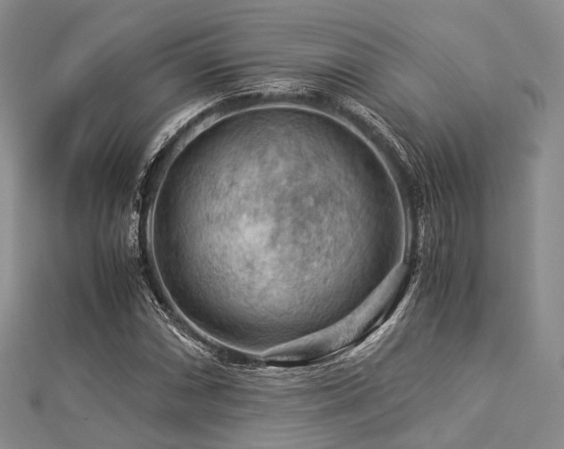 X0000112901066200908211511