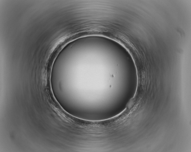 X0000112901067200908211511