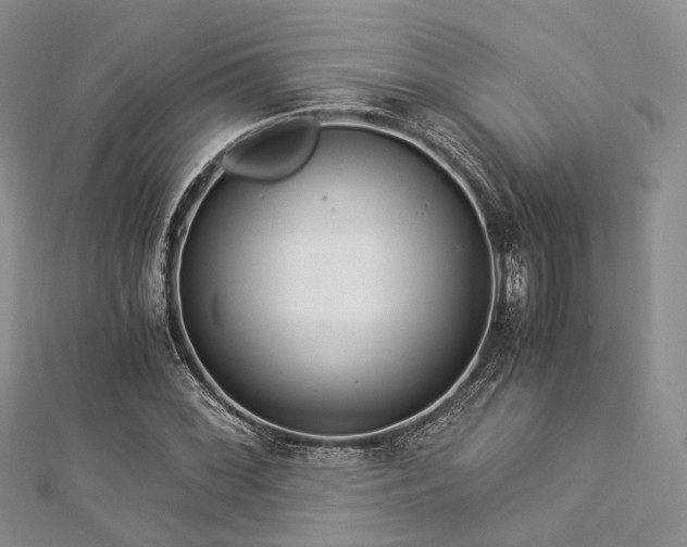 X0000112901068200908211511