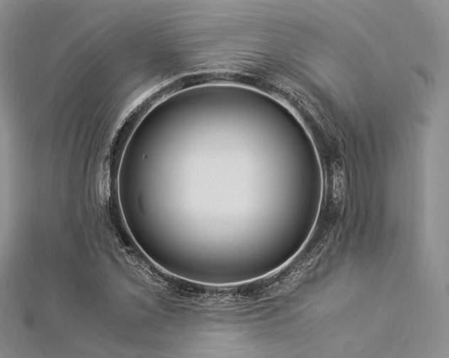 X0000112901069200908211511