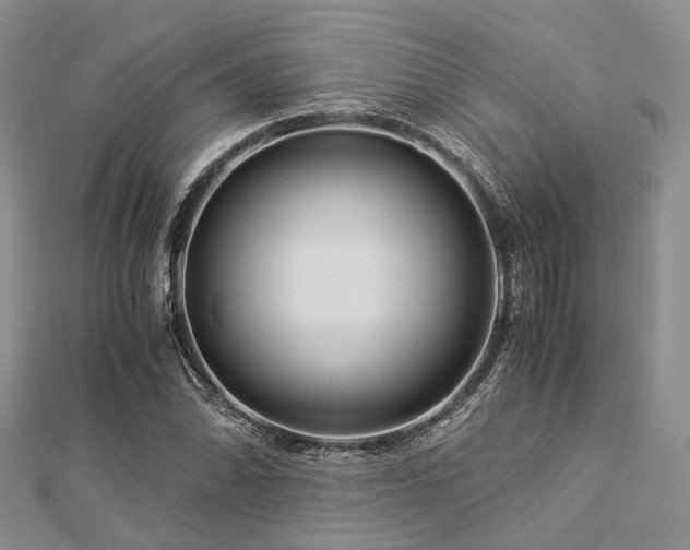 X0000112901070200908211511