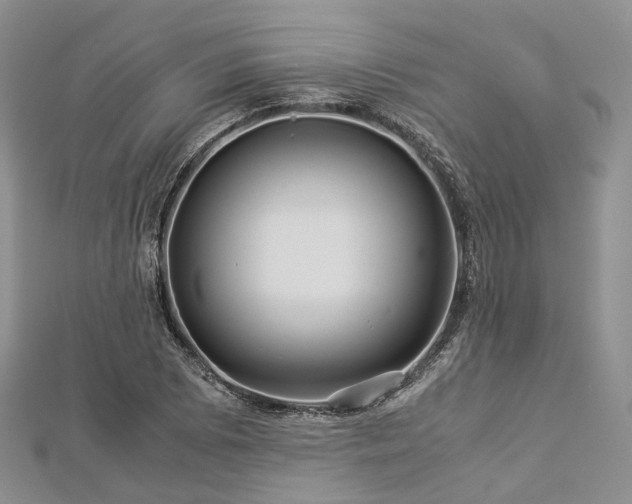 X0000112901073200908211511