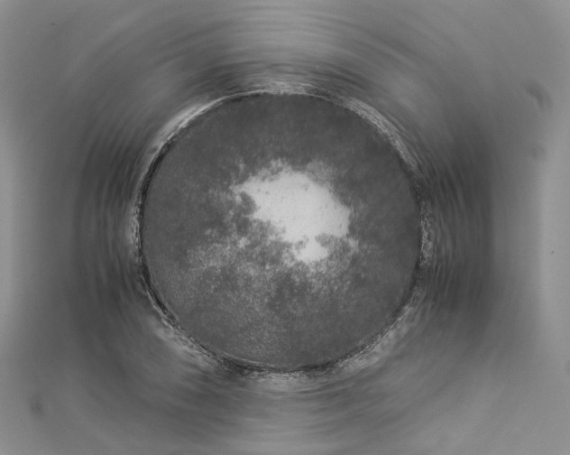 X0000112901074200908211511