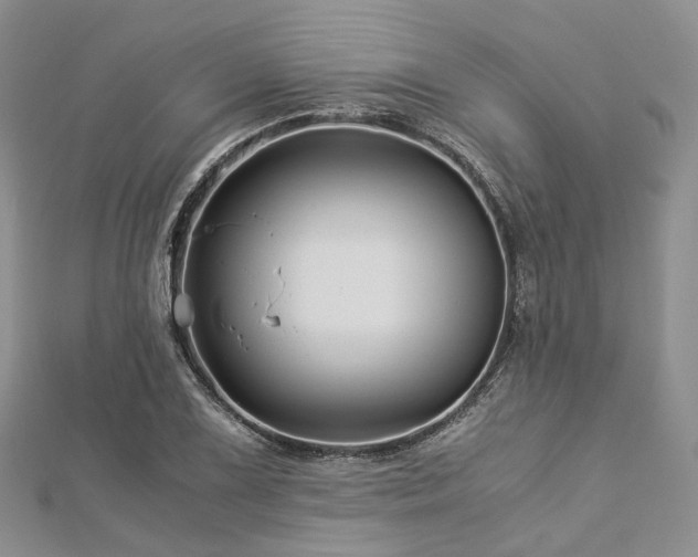 X0000112901075200908211511