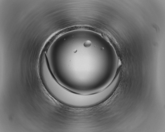 X0000112901076200908211511
